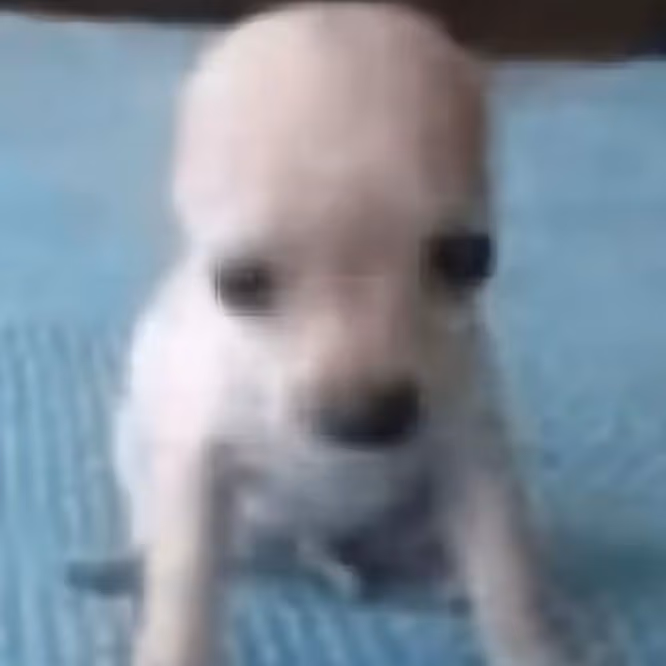 BigAssHead emote