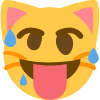 woozycat emote
