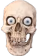 insane_skull emote