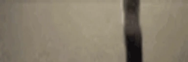 LongestJigglin1 emote