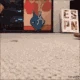 ChanclaCat emote