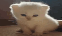 grustno emote