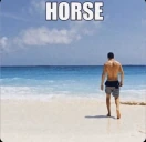 HORSE emote