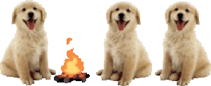 dogsittingverycomfortablearoundacampfirewithitsfriends emote