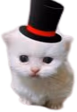 ewpertHat emote