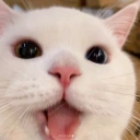 HappyPag emote
