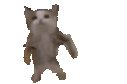 happycat emote