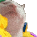 kjcatdance emote