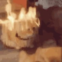 catFine emote