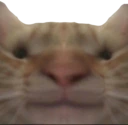 bruh emote