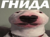 GNIDA emote