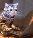 CE_sadcat5 emote