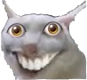 Cat_Looking emote