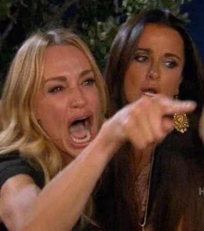woman_yelling_at_cat_meme emote