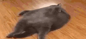 Chillin emote