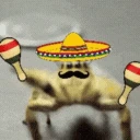 SpiderDance emote