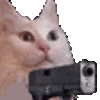 cat_gun emote
