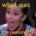 what_was_the_reason emote