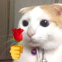 CE_Flower4U emote