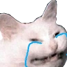 CattoCry emoji