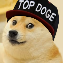 top_doge emote
