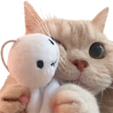 Catto_Big_Hug emote