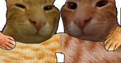 buhddies