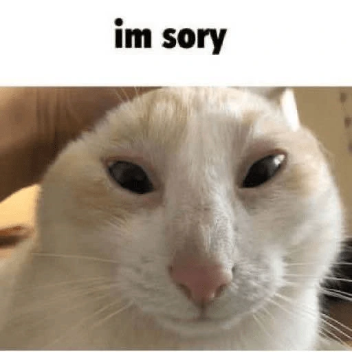 I_sory emote