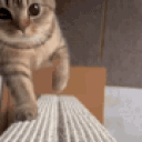 hellooo animated emote