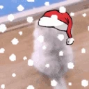 catWait emote