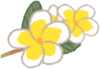 PlumeriaFlower emoji