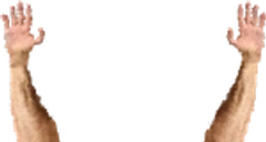 GachiHands emote