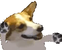 CorgiDance emote