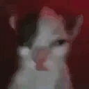 Insane emote