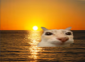 otagLife emote