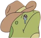 sad_yeehaw emote