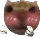 XyliFlushed emote