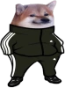 SlavDog emote