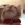 catpunch emote