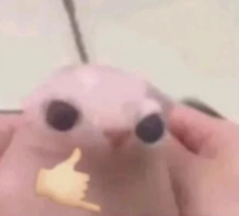 someonetellmewhatthisis emote