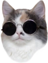 chillcat emote
