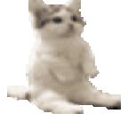 catJammingPolitely animated emote
