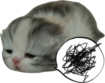 cat emoji