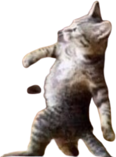 Catwalk emote