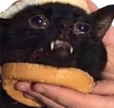 ce_sammich emote
