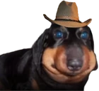 Ermftcowboyhat emote