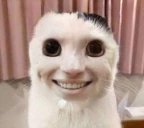 YESIFEELTHEWEIGHTOFMYSINSYESITHURTYESGODSJUDGEMENTFILLMEWITHGUIL emote