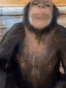 taktak emote