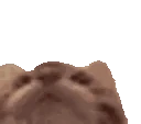 Tasty emote