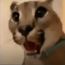 FloppaShock static emote